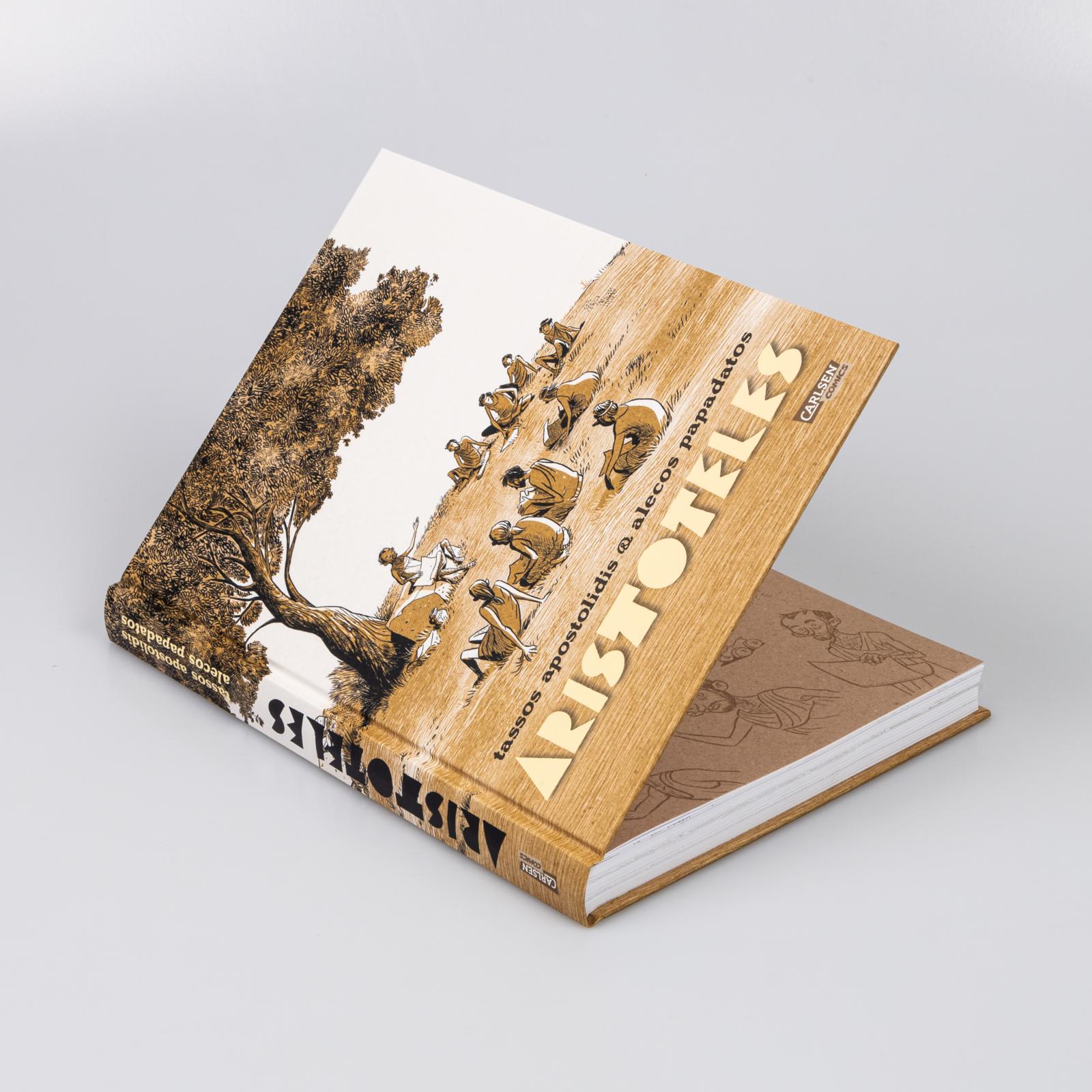 Beispielinhalt (Bild) Aristoteles - Die Graphic Novel