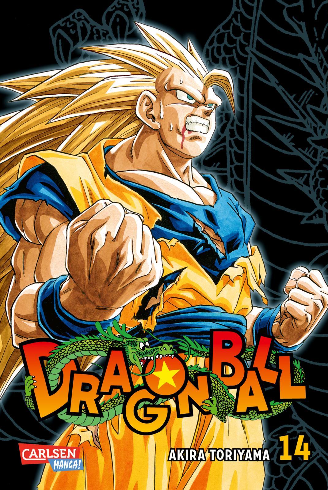 Vorderes Coverbild Dragon Ball Massiv 14
