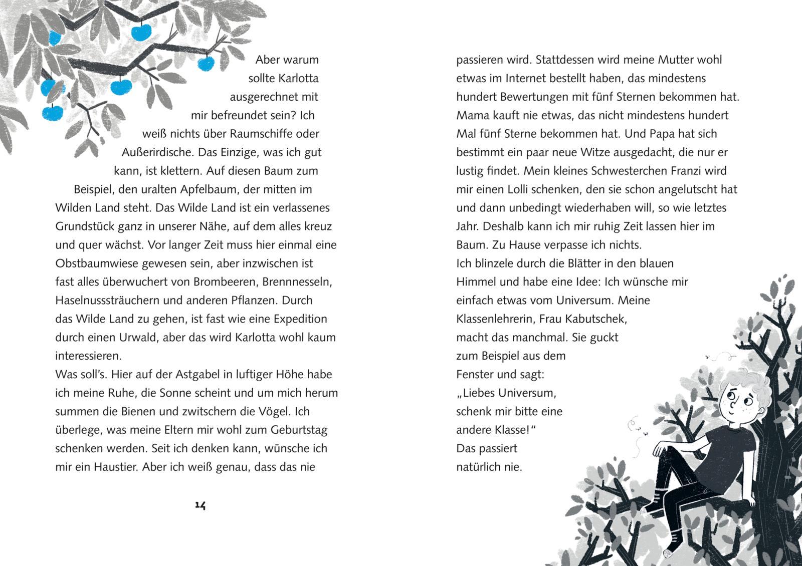 Beispielinhalt (Bild) Fonk 1: Geheimagent aus dem All