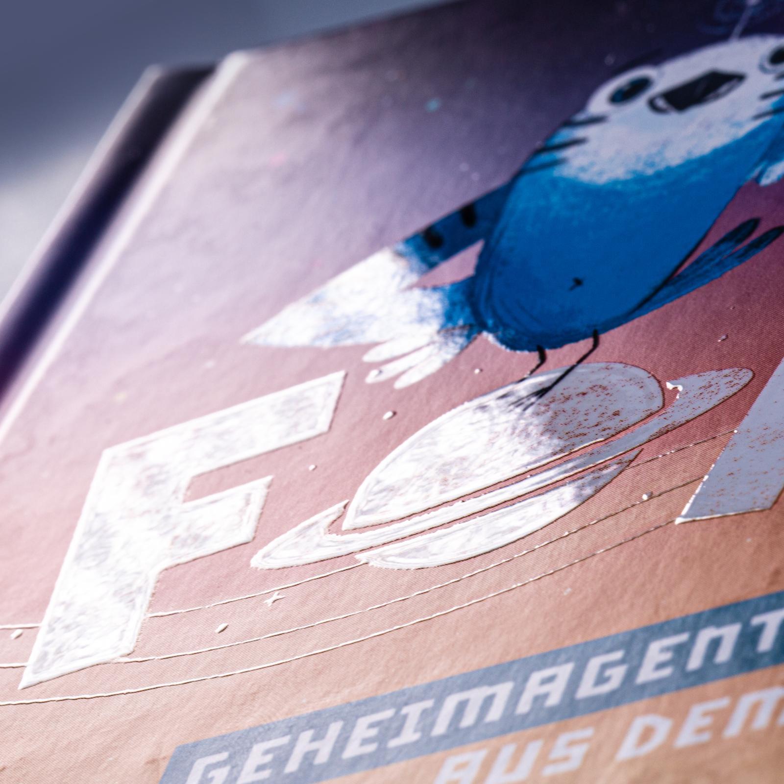 Beispielinhalt (Bild) Fonk 1: Geheimagent aus dem All