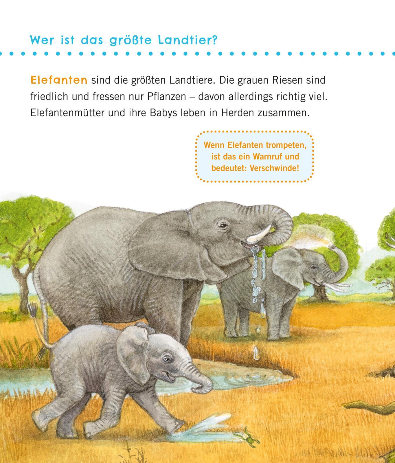 Beispielinhalt (Bild) Unkaputtbar: Erstes Wissen: Große Tiere