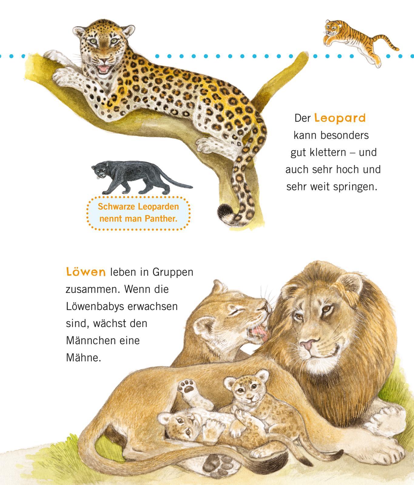 Beispielinhalt (Bild) Unkaputtbar: Erstes Wissen: Große Tiere