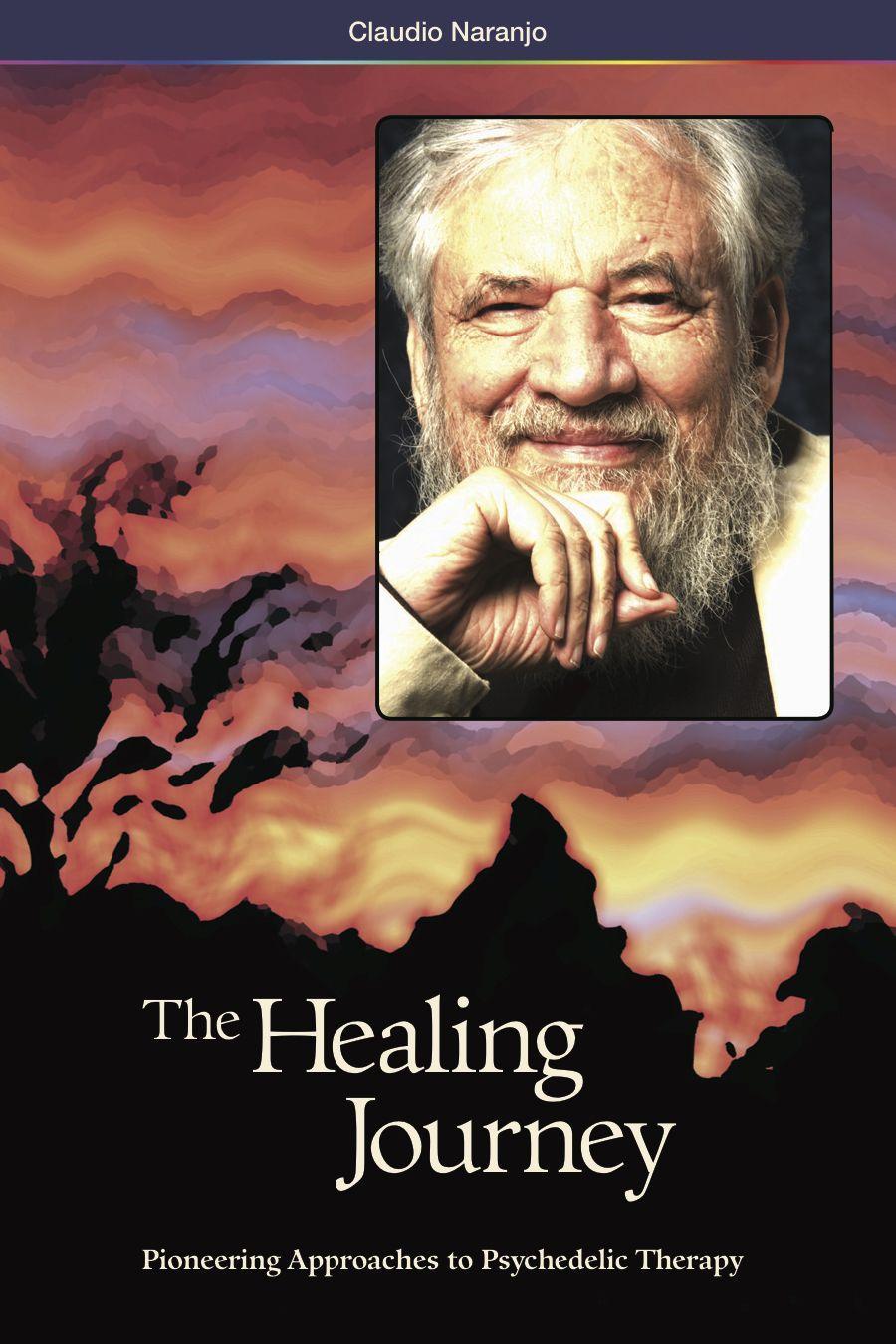 Vorderes Coverbild The Healing Journey (2nd Edition)