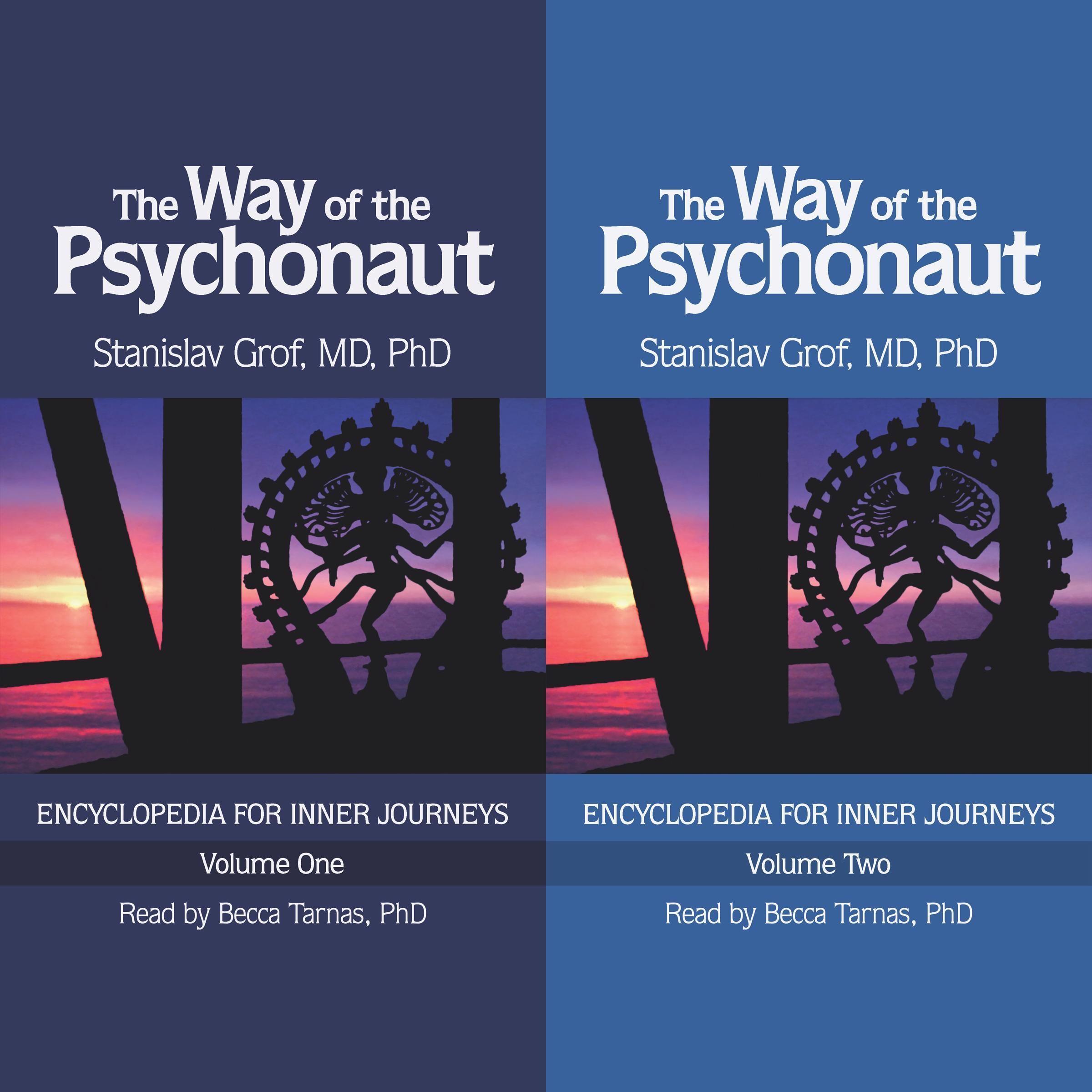 Vorderes Coverbild The Way of the Psychonaut Vol. 1