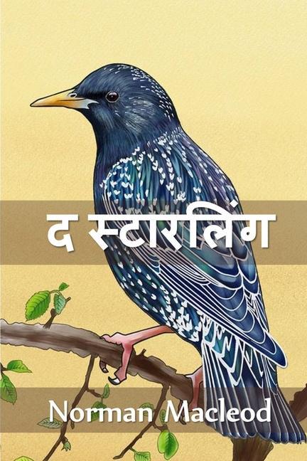 Vorderes Coverbild &#2342; &#2360;&#2381;&#2335;&#2366;&#2352;&#2354;&#2367;&#2306;&#2327;