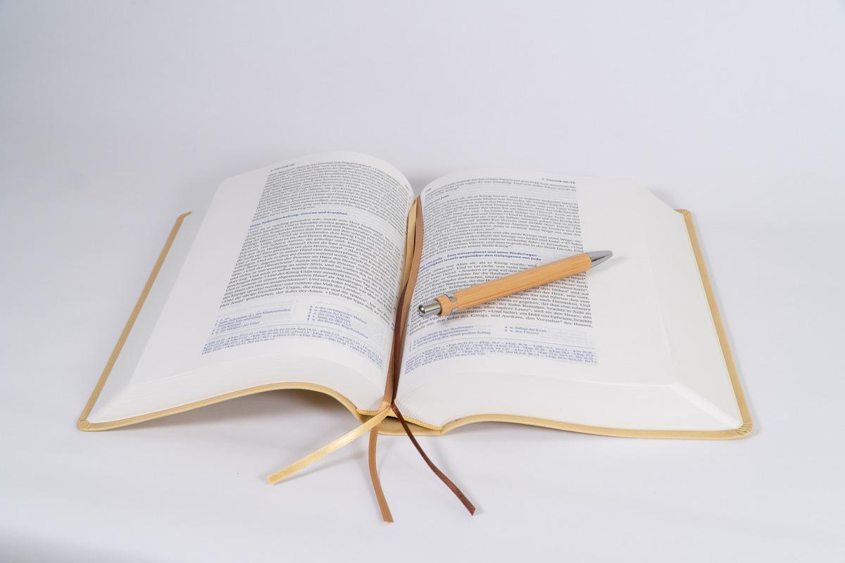 Beispielinhalt (Bild) Elberfelder Bibel - mit Schreibrand, Kunstleder