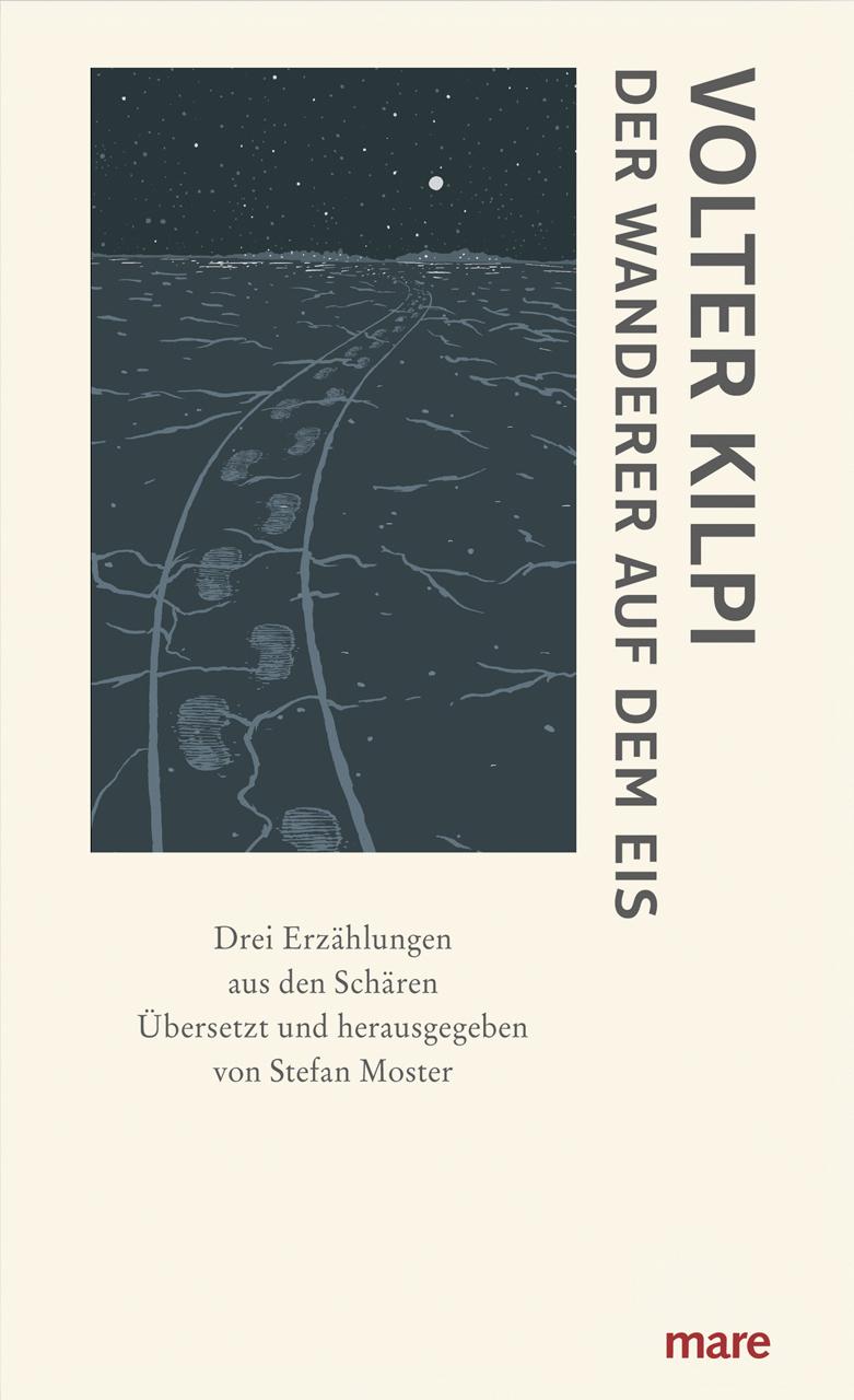 Vorderes Coverbild Der Wanderer auf dem Eis