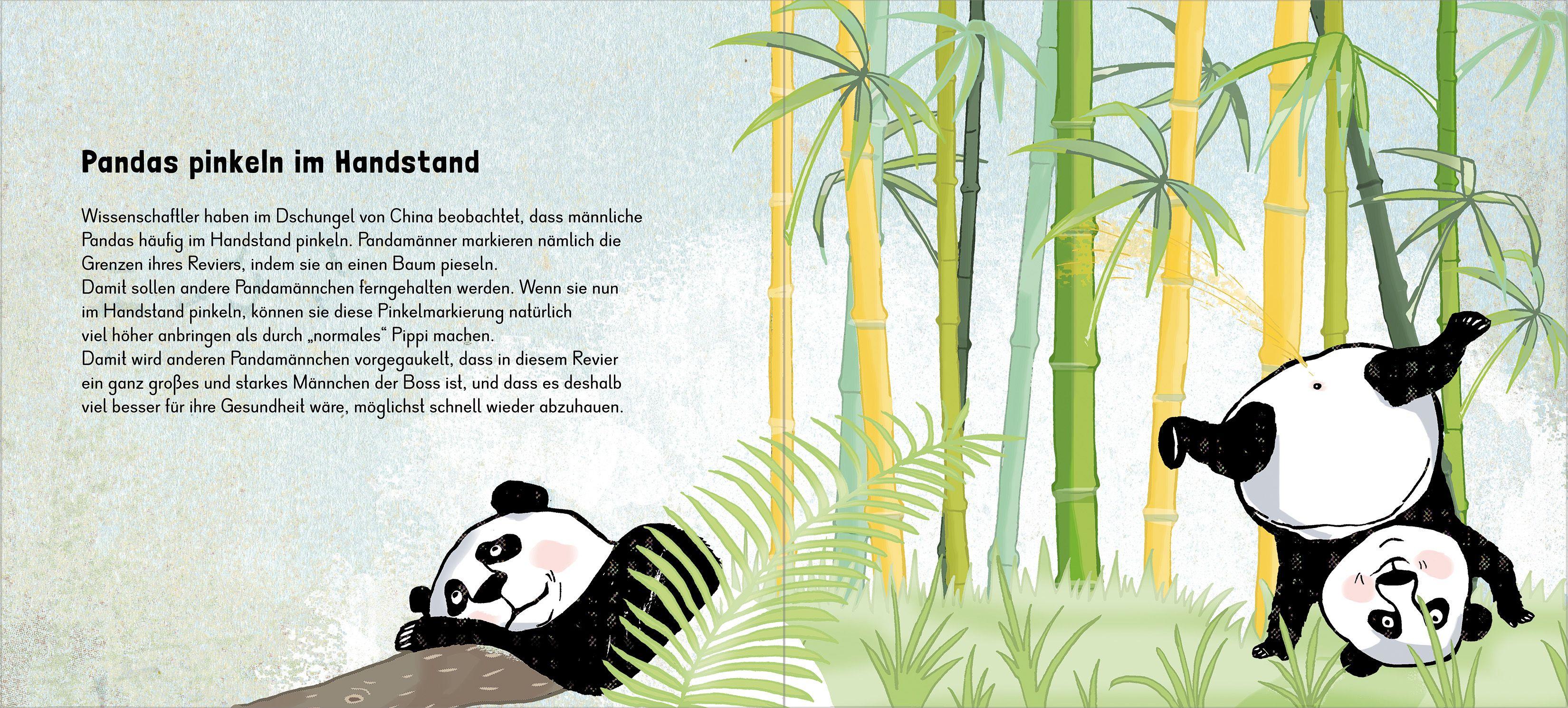 Beispielinhalt (Bild) Walgesang und Heringspups - Die wunderbare Welt der Tiersprache