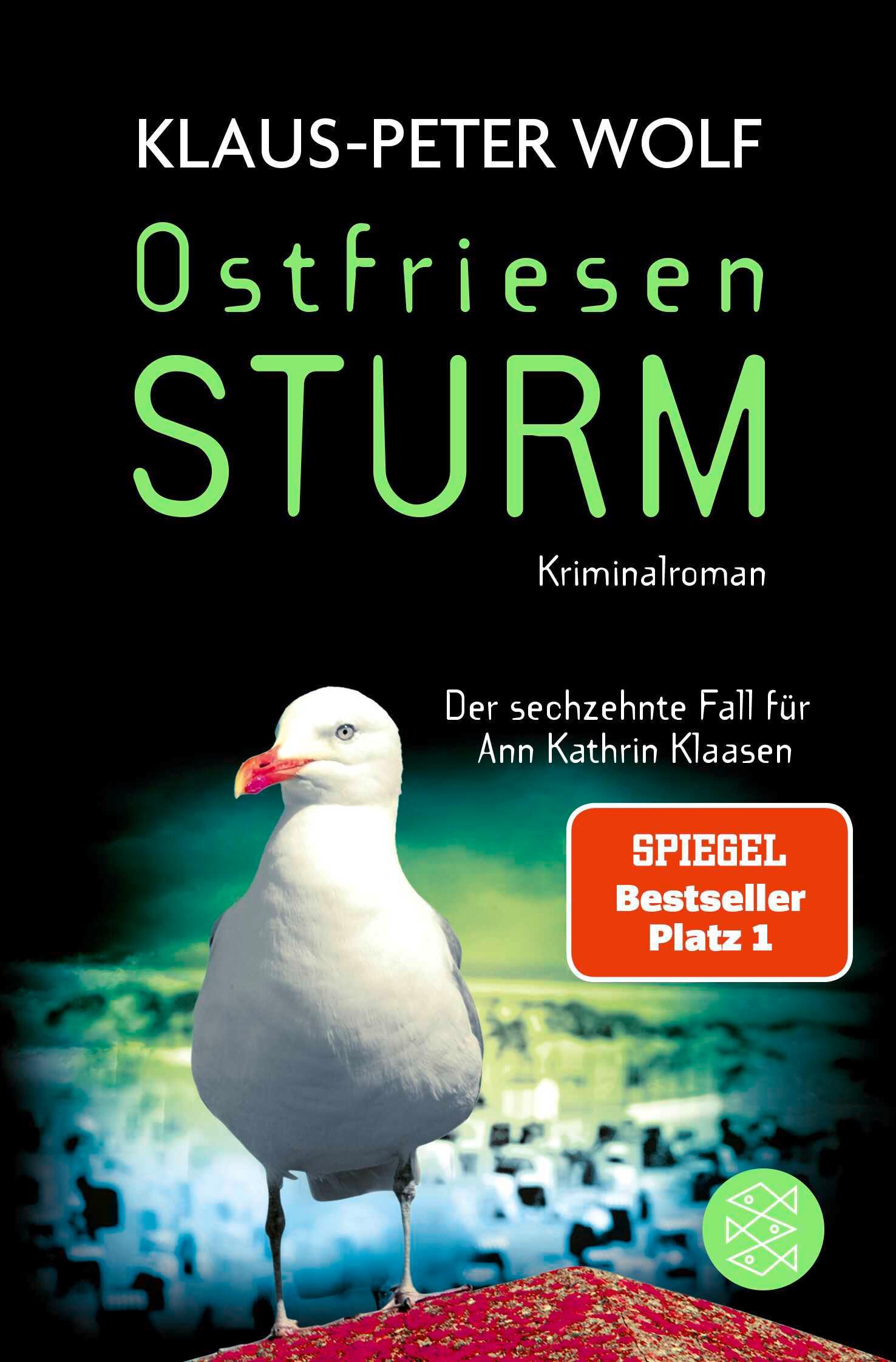 Vorderes Coverbild Ostfriesensturm