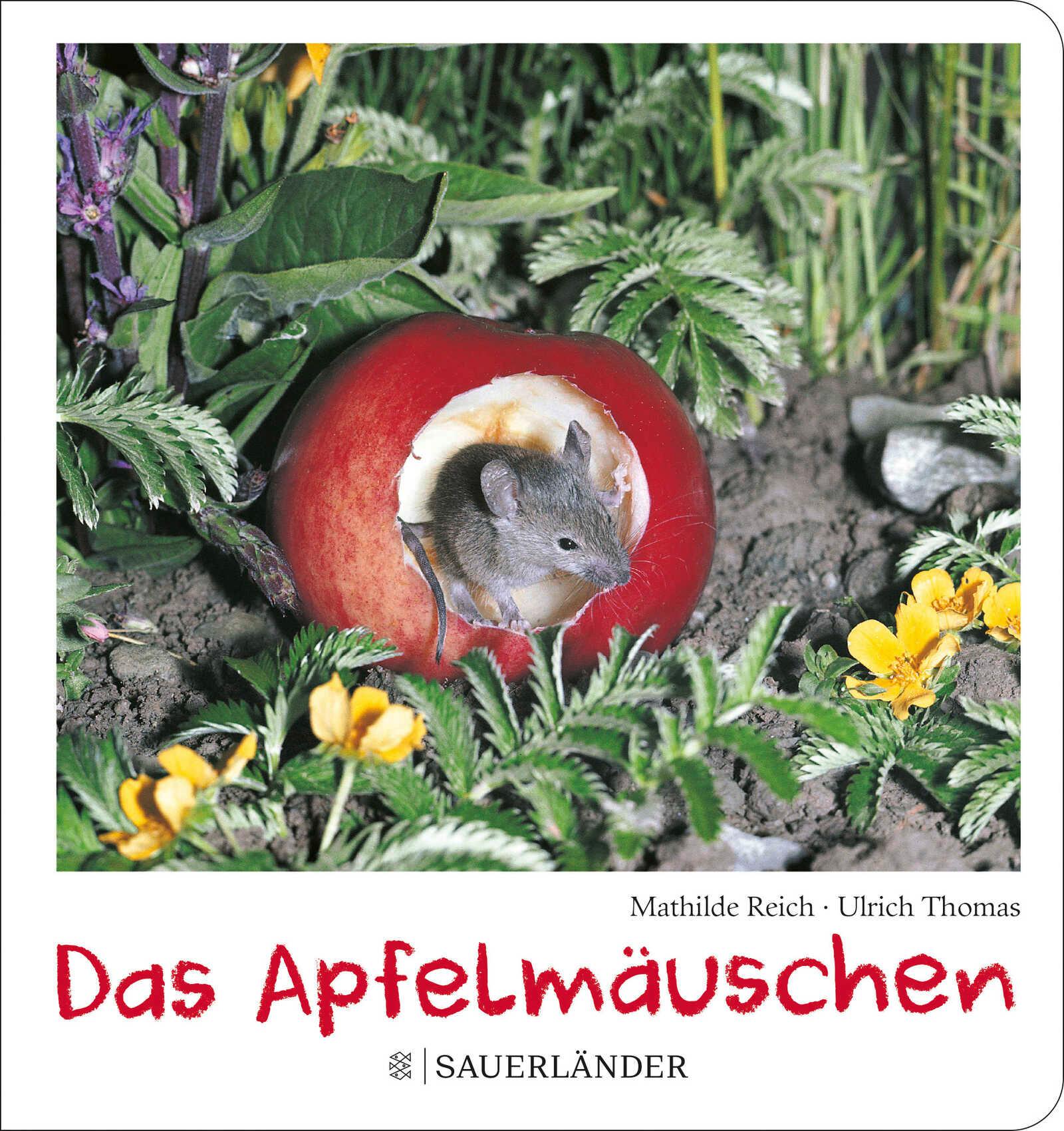 Vorderes Coverbild Das Apfelmäuschen (Pappbilderbuch)