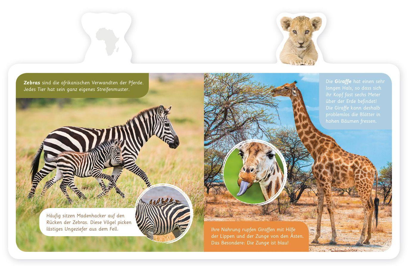 Beispielinhalt (Bild) Tiere in Afrika