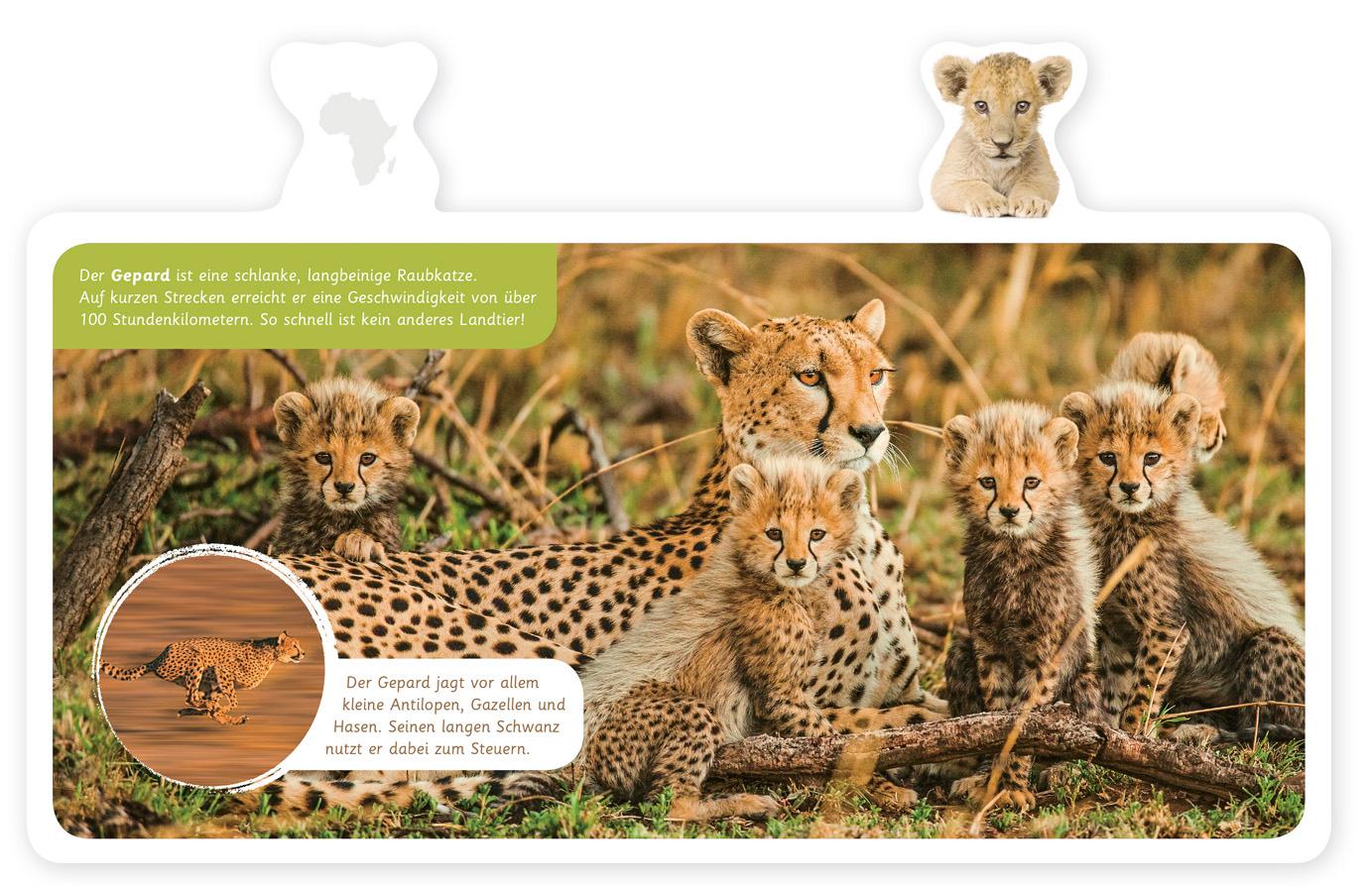 Beispielinhalt (Bild) Tiere in Afrika