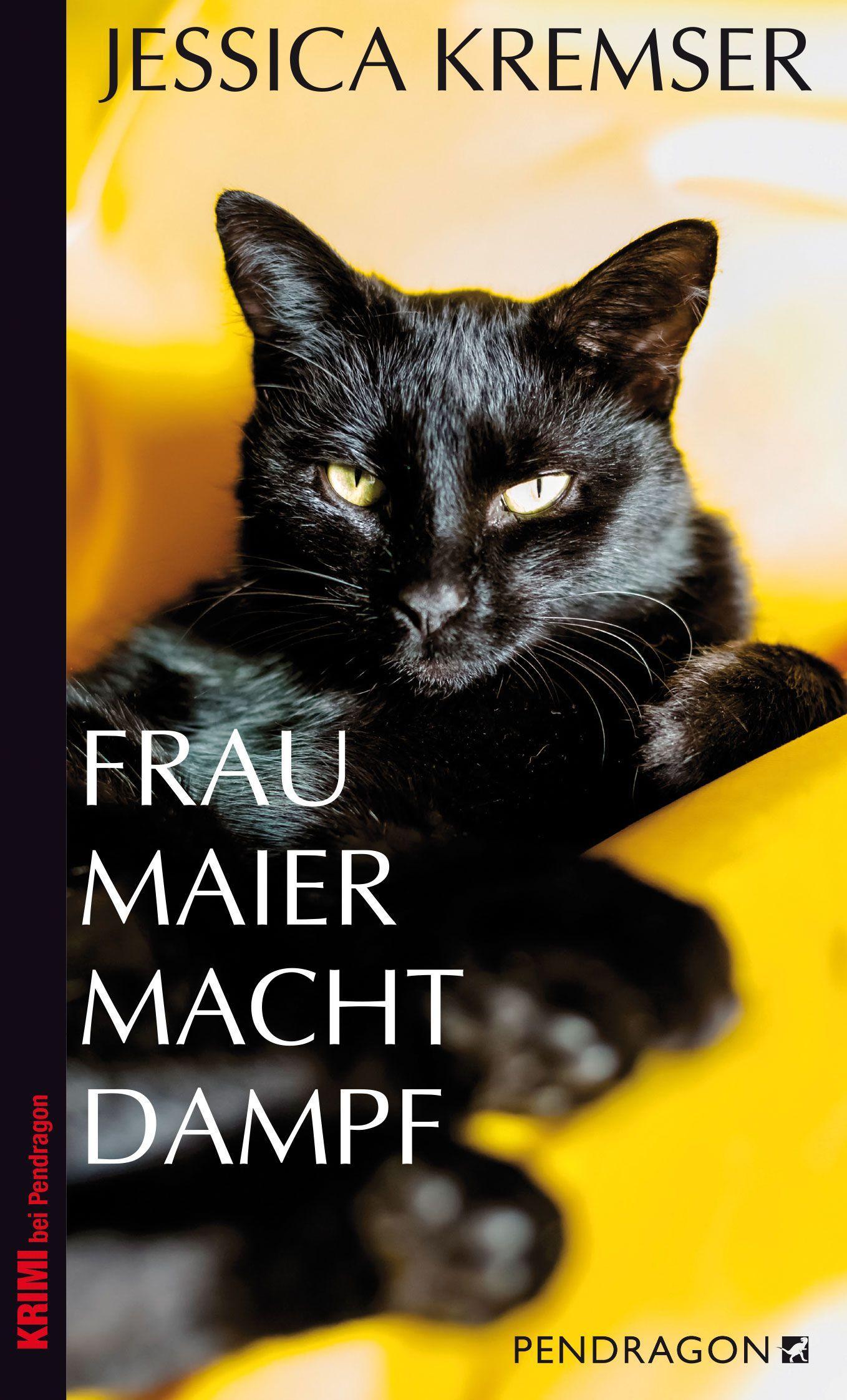 Vorderes Coverbild Frau Maier macht Dampf