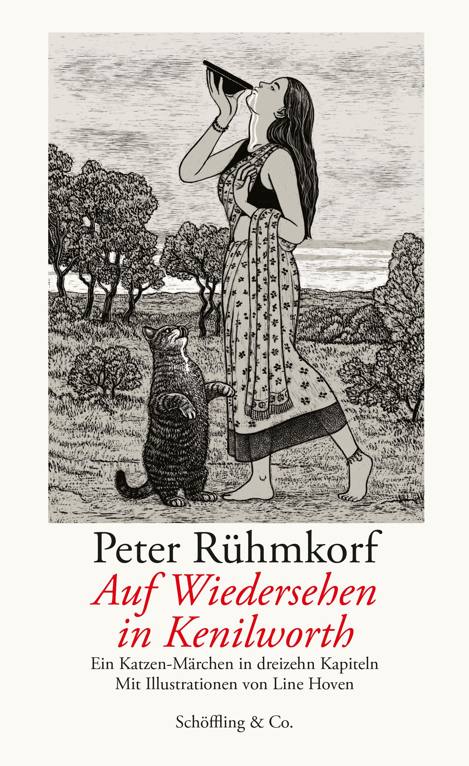 Vorderes Coverbild Auf Wiedersehen in Kenilworth