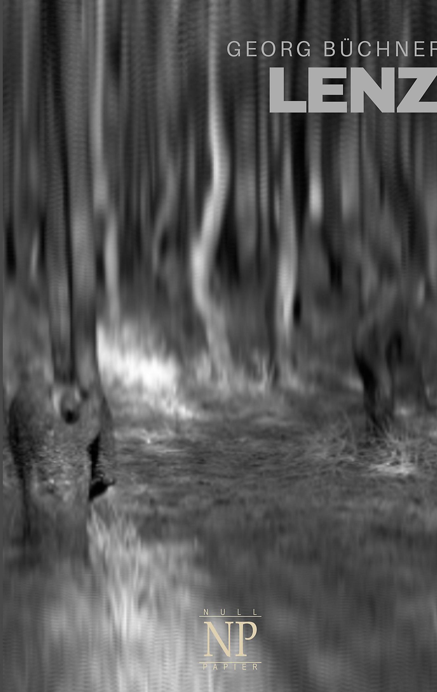 Vorderes Coverbild Lenz