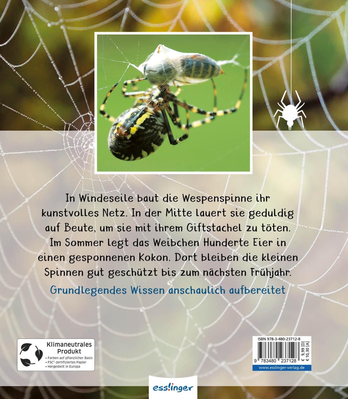 Rückseitencover Meine große Tierbibliothek: Die Spinne
