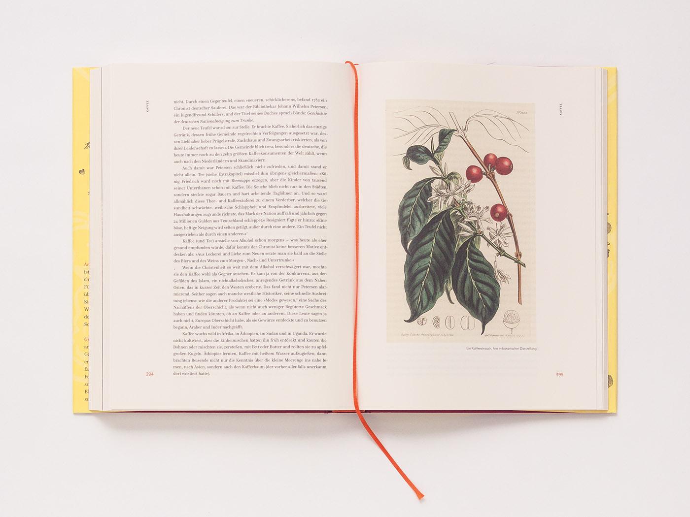 Beispielinhalt (Bild) Leere Töpfe, volle Töpfe