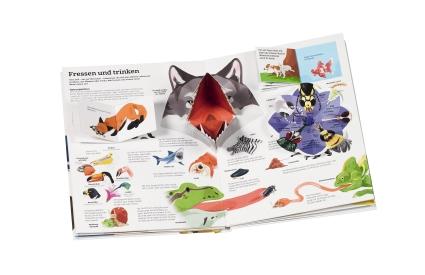 Beispielinhalt (Bild) Mein großes Tierbuch