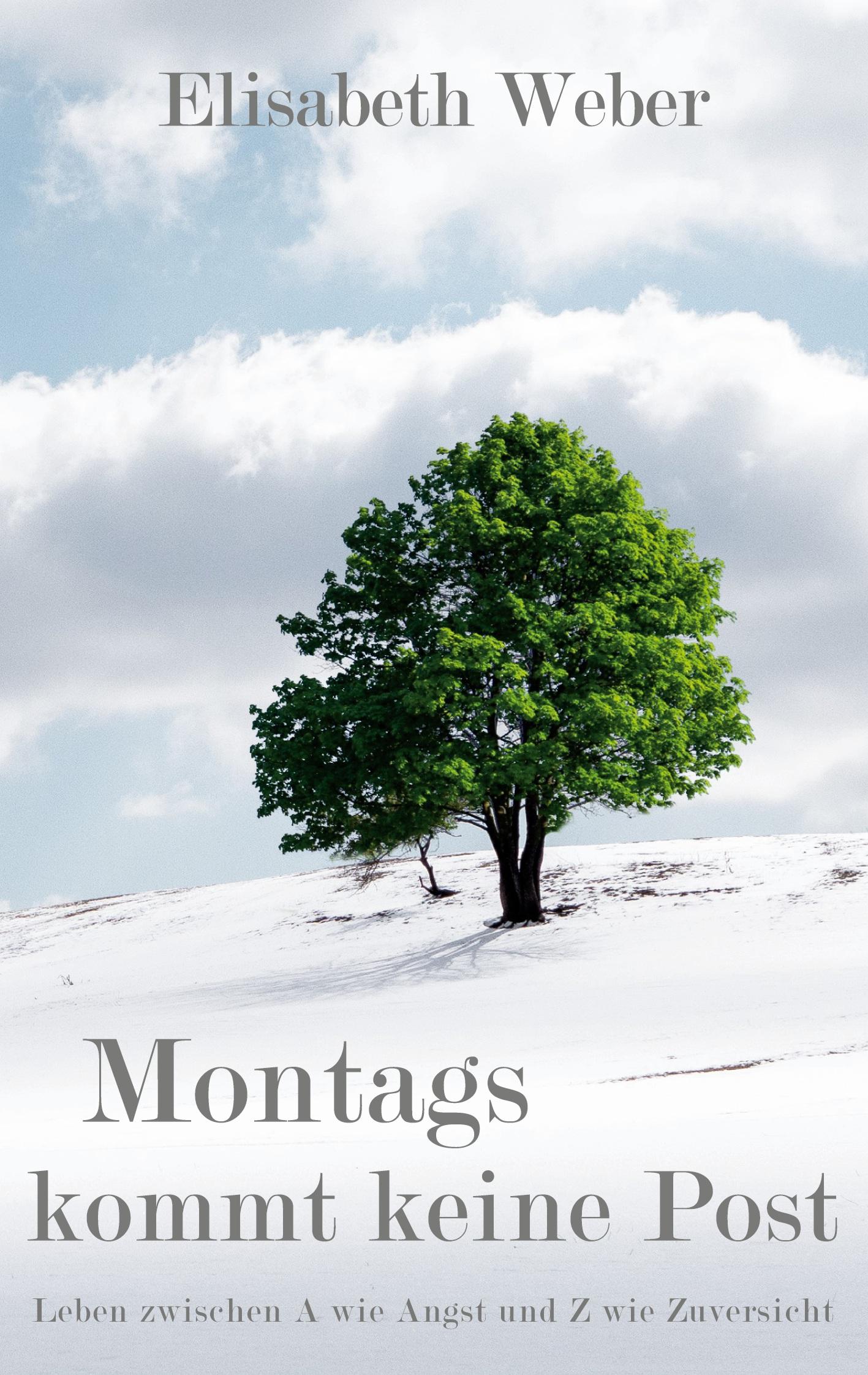 Vorderes Coverbild Montags kommt keine Post