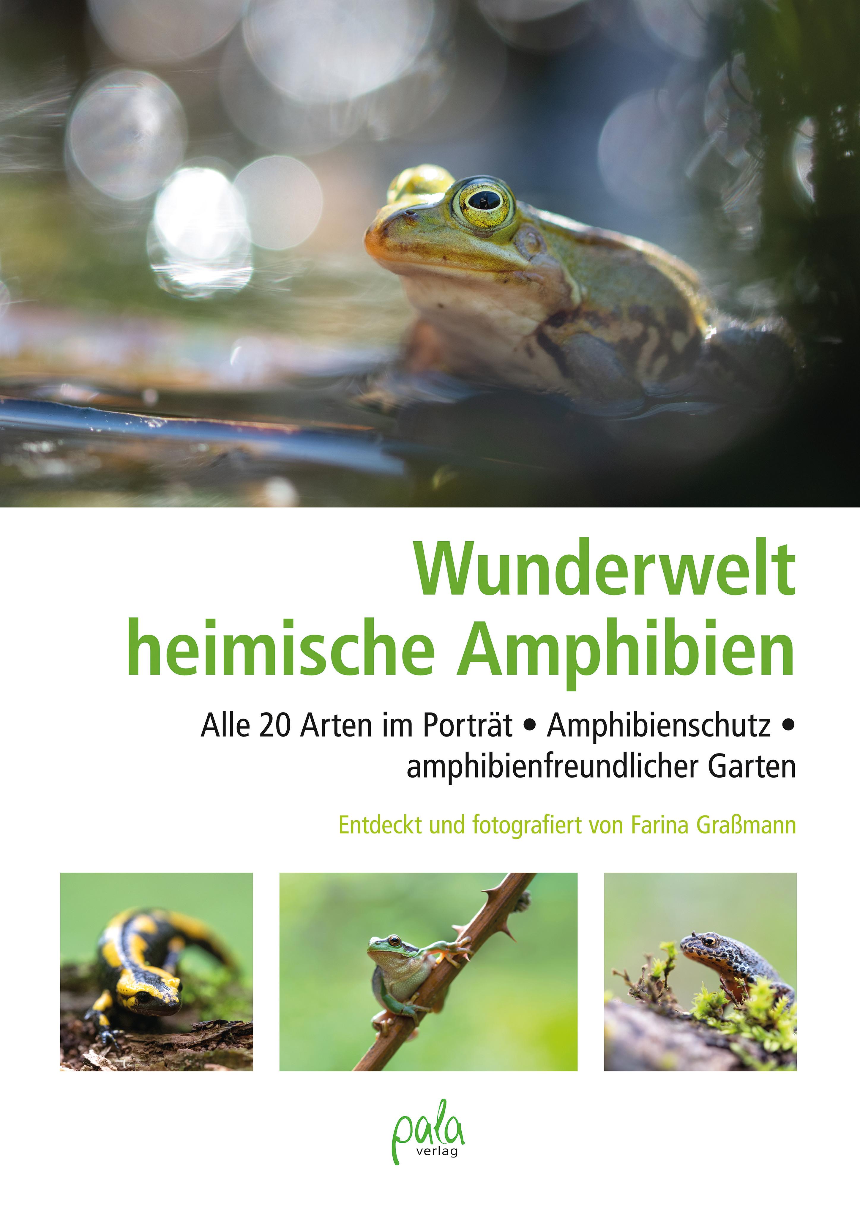 Vorderes Coverbild Wunderwelt heimische Amphibien