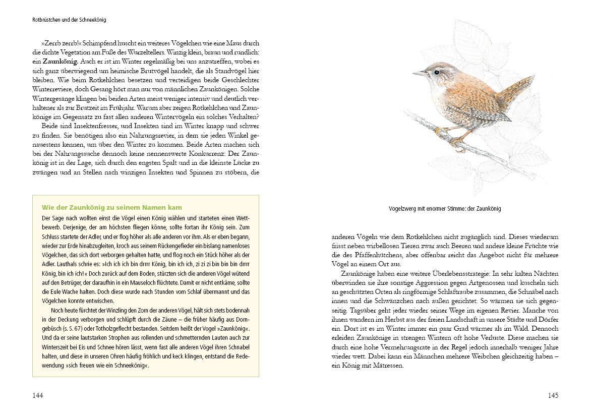 Beispielinhalt (Bild) Vogelstimmen in Wald und Hecke
