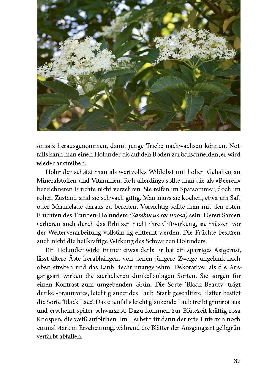 Beispielinhalt (Bild) Lebensraum Gehölz