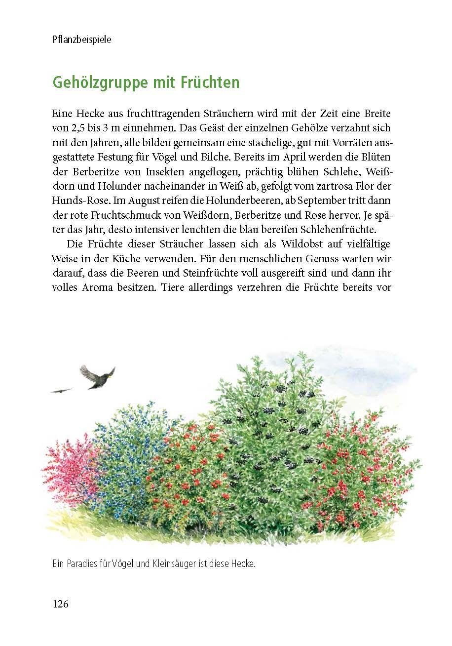 Beispielinhalt (Bild) Lebensraum Gehölz