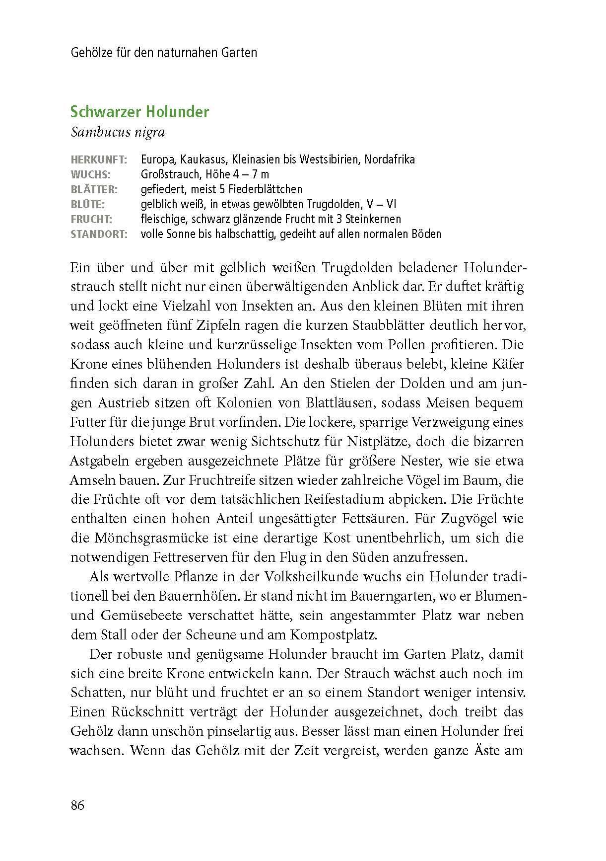 Beispielinhalt (Bild) Lebensraum Gehölz