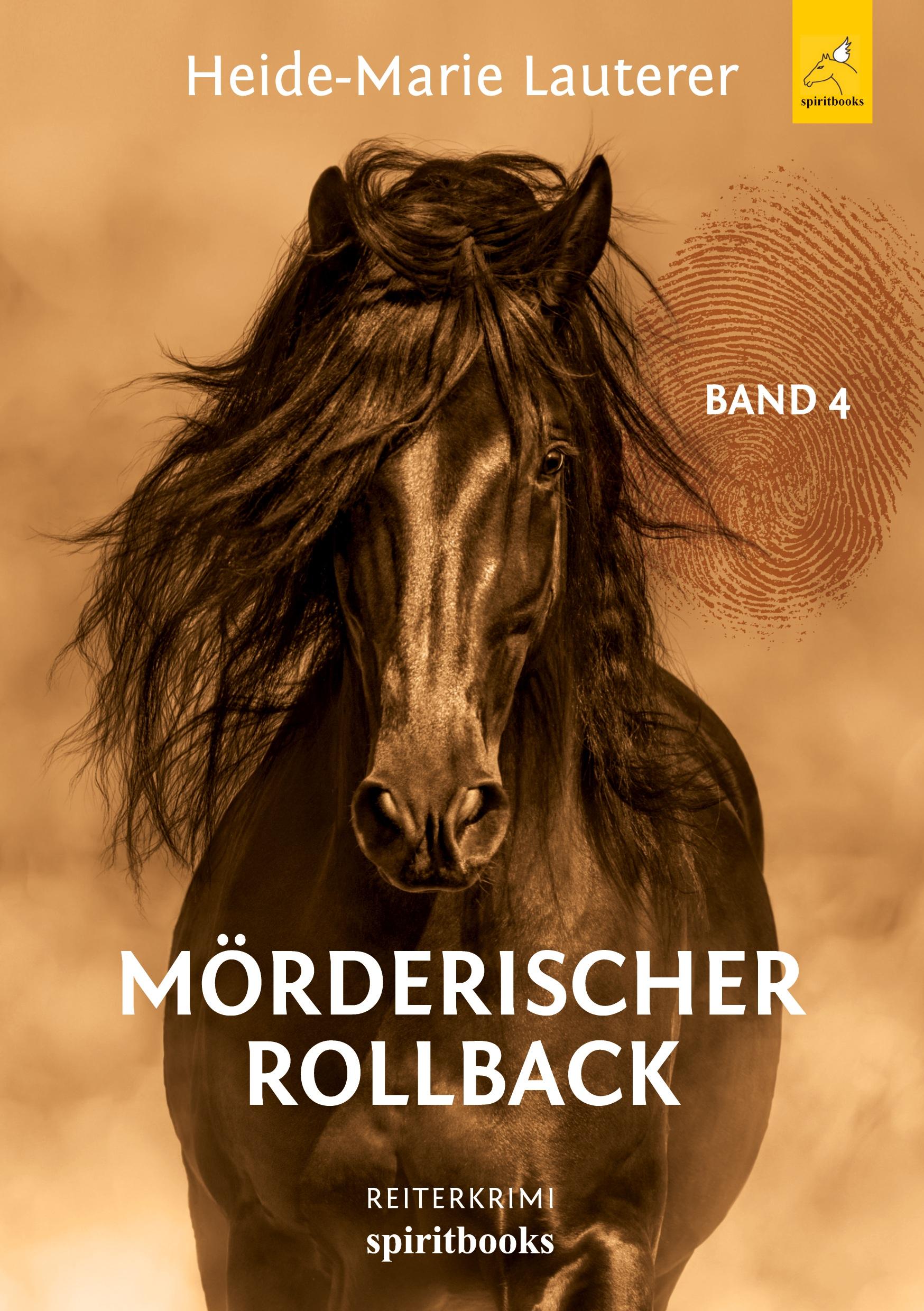 Vorderes Coverbild Mörderischer Rollback