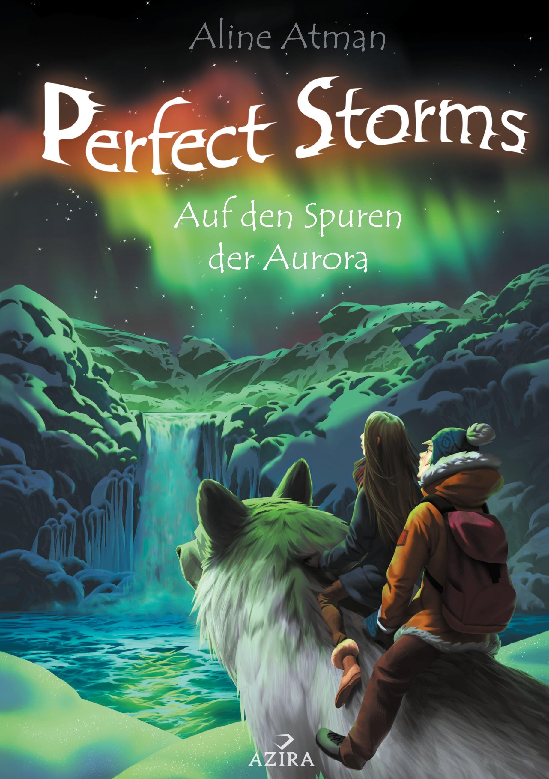 Vorderes Coverbild Perfect Storms