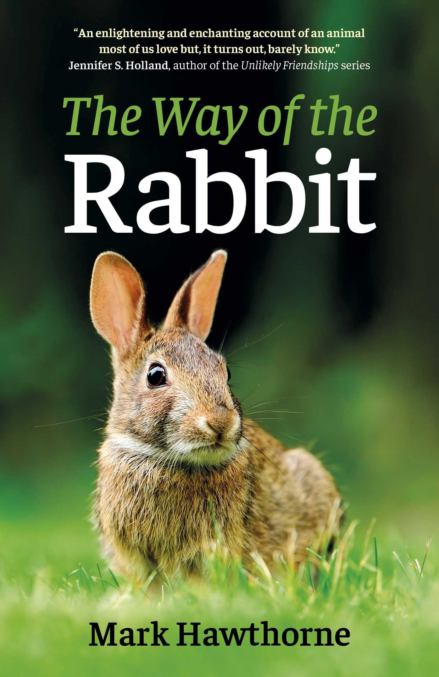 Vorderes Coverbild The Way of the Rabbit