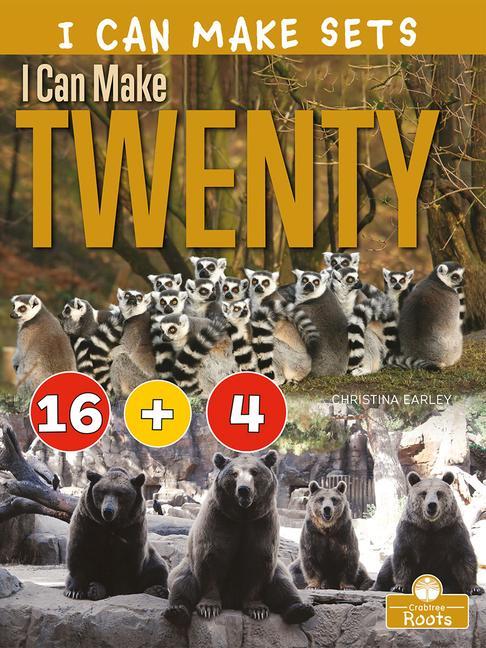 Vorderes Coverbild I Can Make Twenty