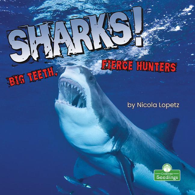 Vorderes Coverbild Sharks! Big Teeth, Fierce Hunters