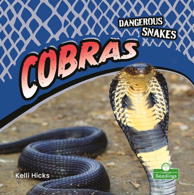 Vorderes Coverbild Cobras