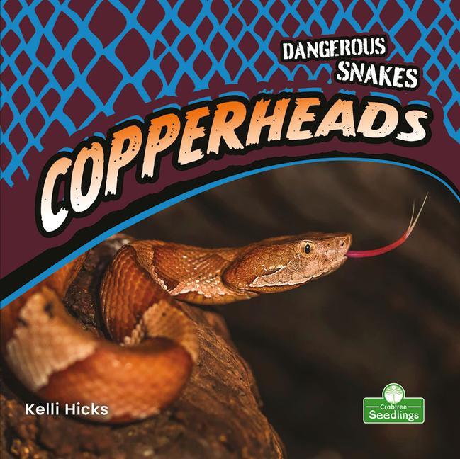 Vorderes Coverbild Copperheads