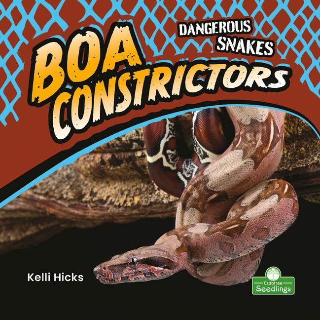 Vorderes Coverbild Boa Constrictors