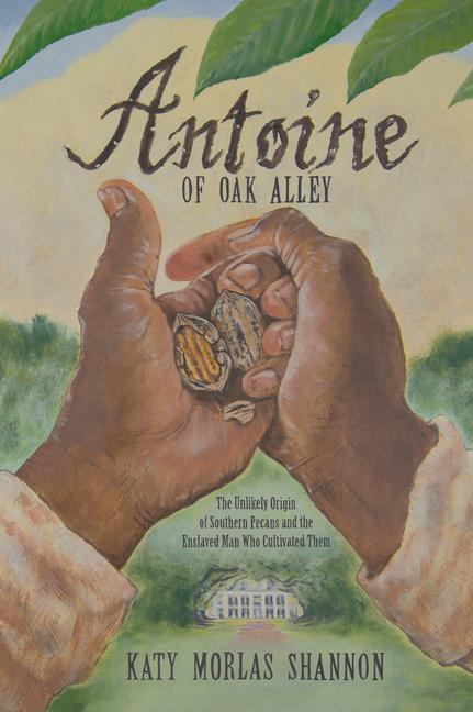 Vorderes Coverbild Antoine of Oak Alley