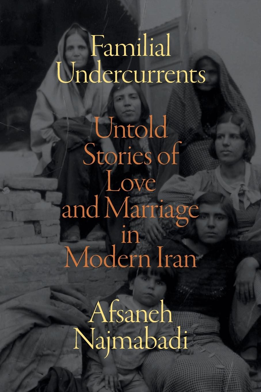 Vorderes Coverbild Familial Undercurrents