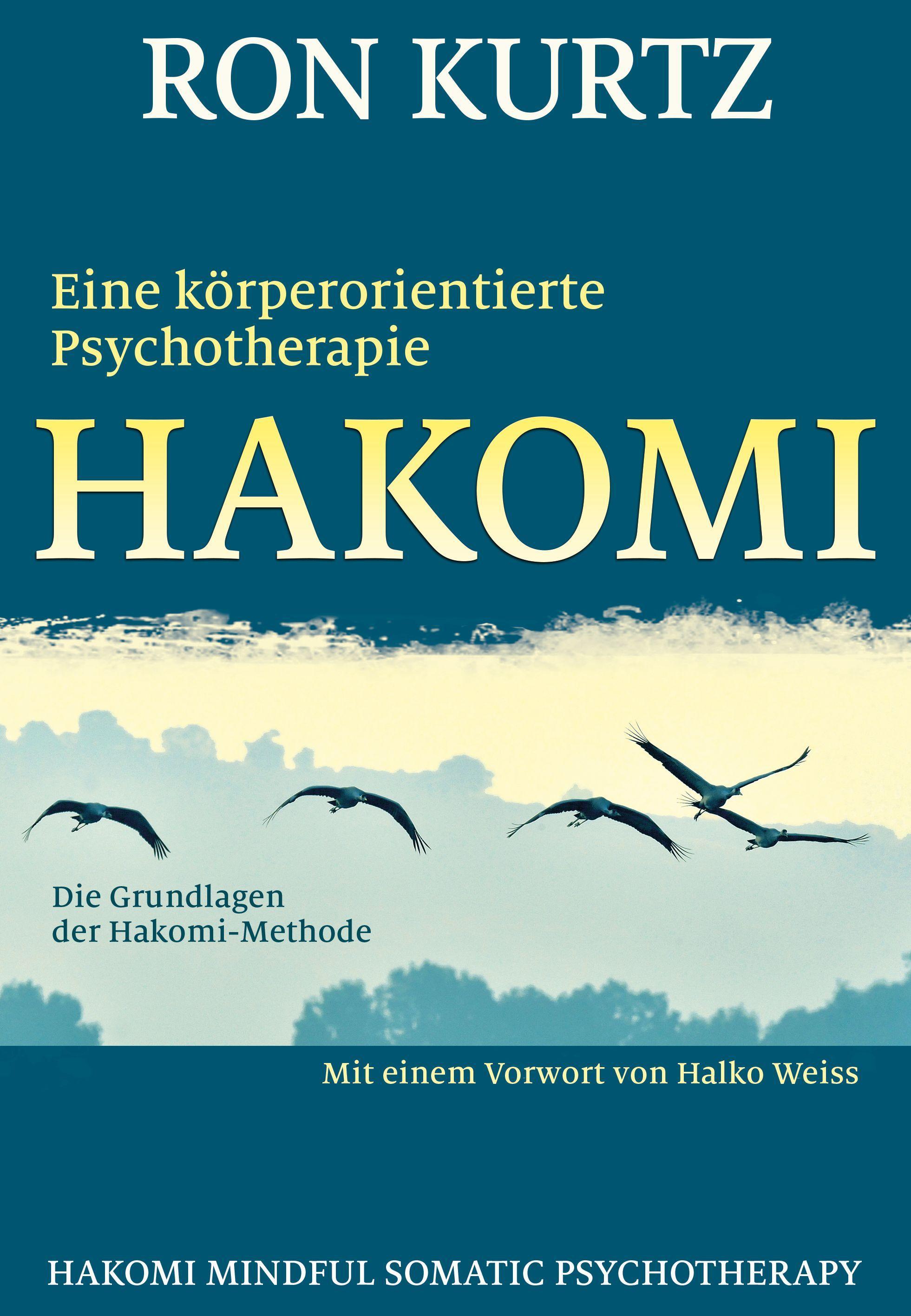 Vorderes Coverbild HAKOMI - eine körperorientierte Psychotherapie