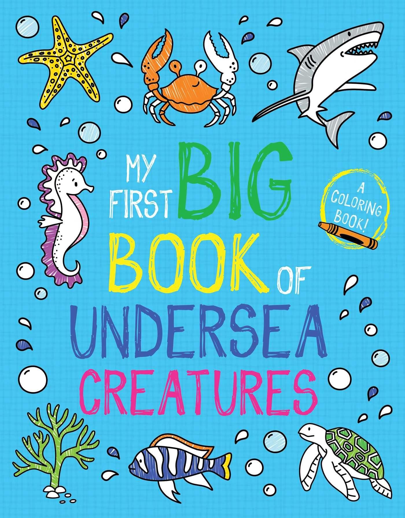 Vorderes Coverbild My First Big Book of Undersea Creatures