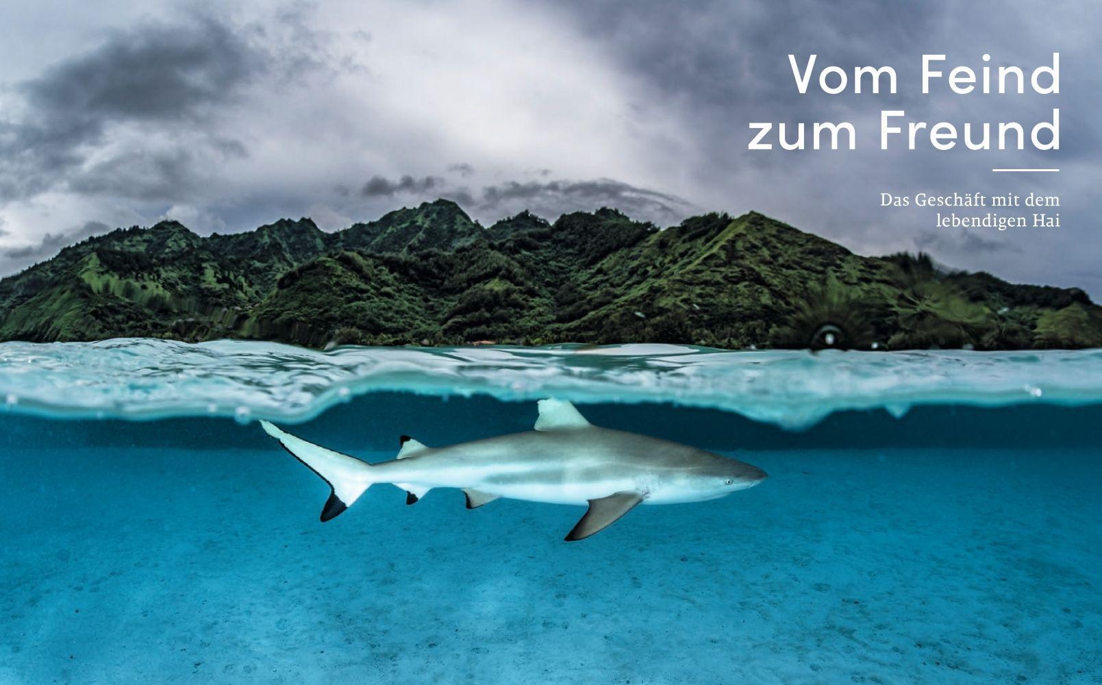 Beispielinhalt (Bild) Leidenschaft Ozean