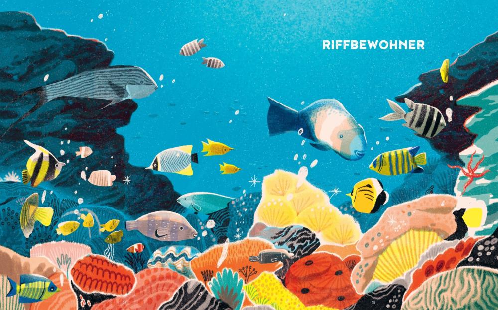 Beispielinhalt (Bild) Das Great Barrier Reef