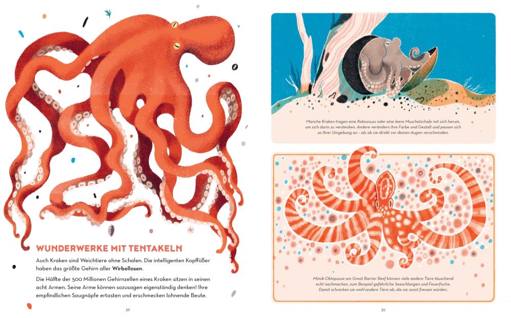 Beispielinhalt (Bild) Das Great Barrier Reef