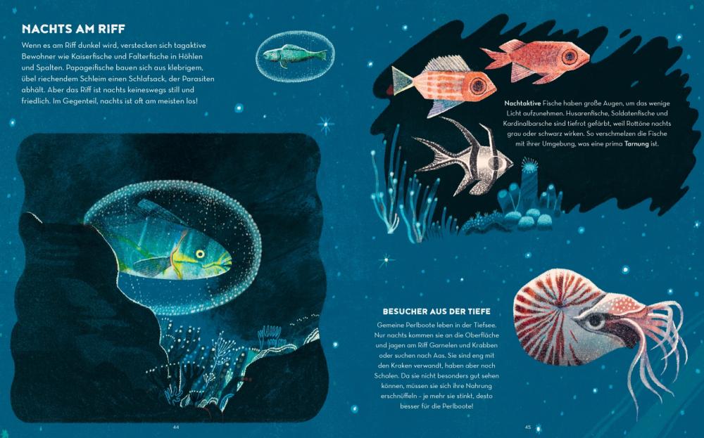 Beispielinhalt (Bild) Das Great Barrier Reef