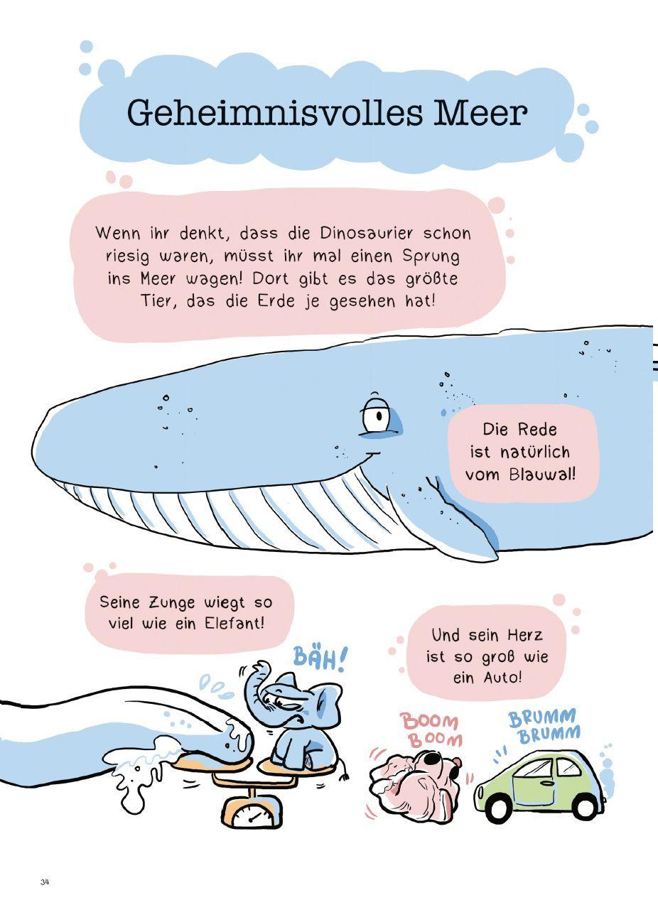 Beispielinhalt (Bild) Fabulöse Fakten