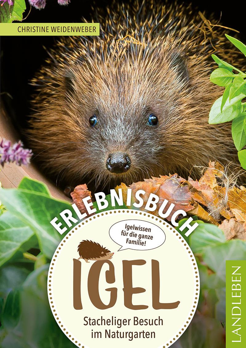 Vorderes Coverbild Erlebnisbuch Igel