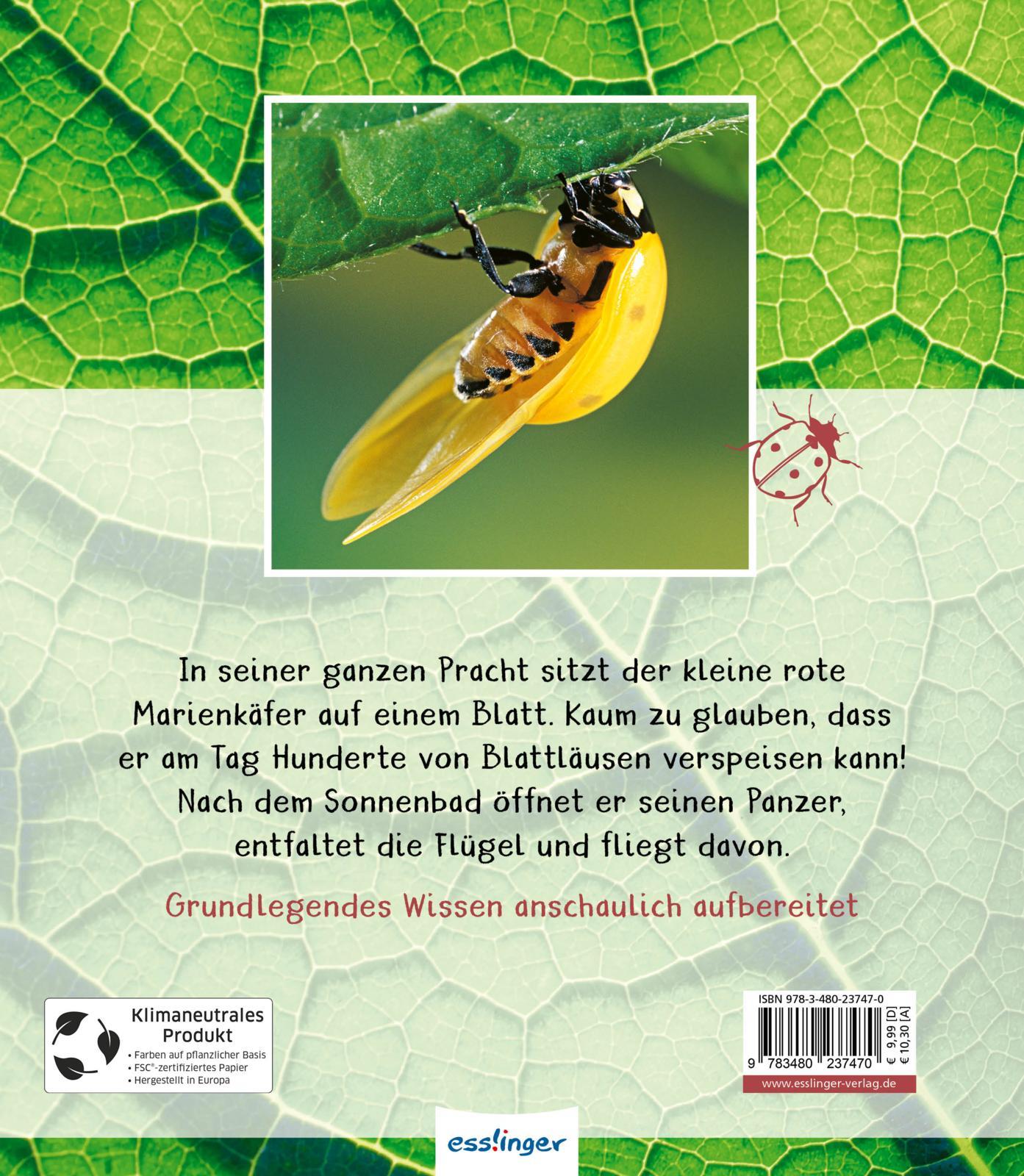 Rückseitencover Meine große Tierbibliothek: Der Marienkäfer