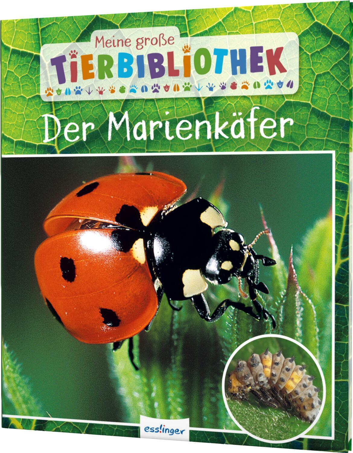 Vorderes Coverbild Meine große Tierbibliothek: Der Marienkäfer