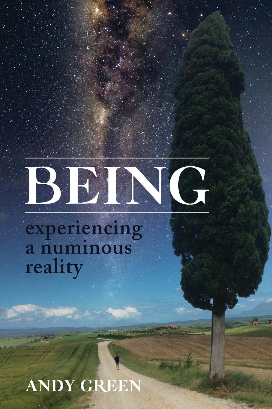 Vorderes Coverbild BEING, experiencing a numinous reality