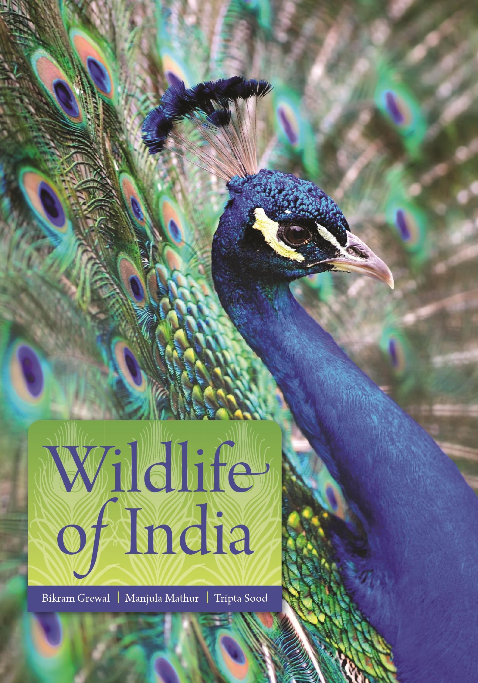 Vorderes Coverbild Wildlife of India